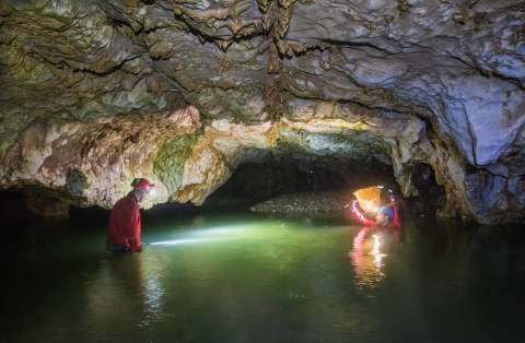 Esto encontró el estudio con ADN ambiental en cuevas más grande que se ha hecho en Colombia