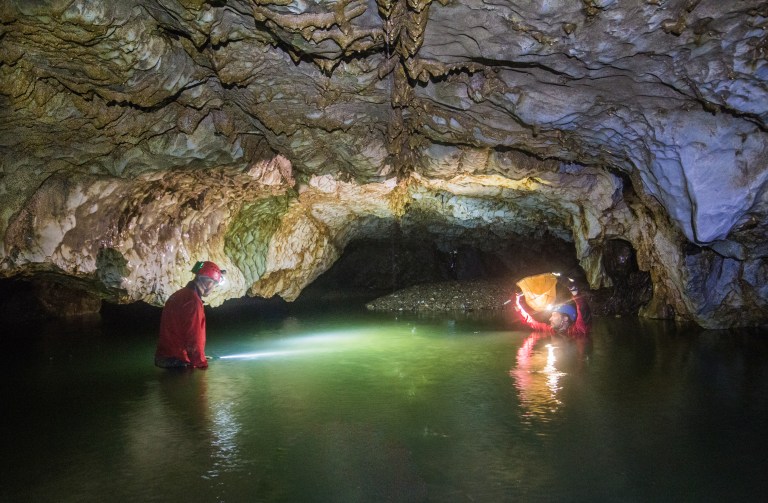 Esto encontró el estudio con ADN ambiental en cuevas más grande que se ha hecho en Colombia