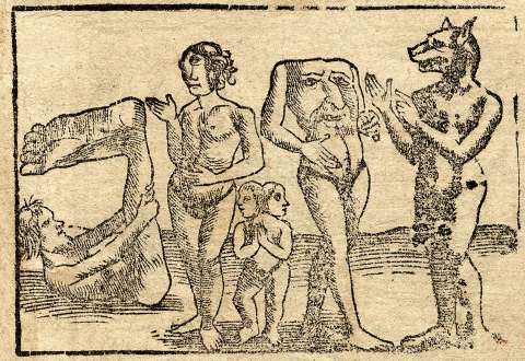 El maravilloso mundo de Plinio: ciencia natural o literatura fantástica