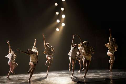 Fotos: así se vivió Temporada Internacional de Danza Contemporánea en Medellín