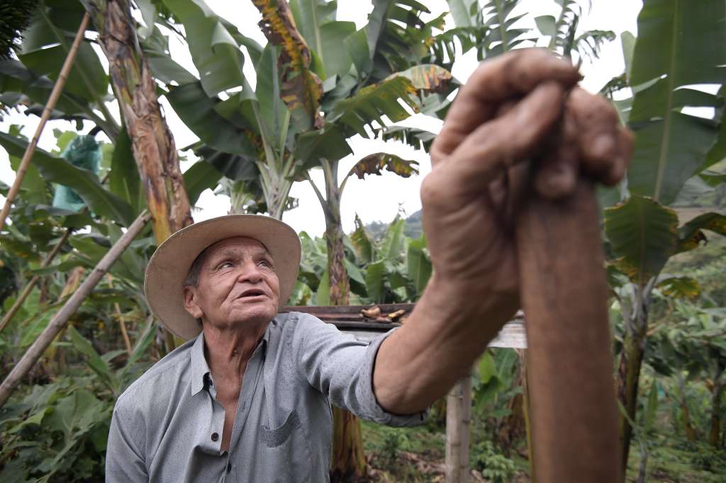 Finca cafetera ubicada en este municipio.