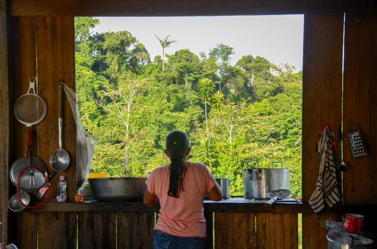 La deforestación y el cambio en el uso de la tierra son importantes factores causantes del calentamiento a nivel global. En 2017, el Fondo Verde para el Clima puso en marcha un programa piloto de pagos basados en los resultados en materia de reducción de las emisiones generadas por la deforestación y la degradación forestal en los países en desarrollo. Dentro de esta iniciativa, la FAO ejecuta proyectos de Reducción de las Emisiones por Deforestación y Degradación Forestal (REDD+) que se desarrollan en Argentina, en Colombia y en Chile.