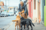Hombre de 75 años empieza la carrera de veterinaria para ayudar a los animales