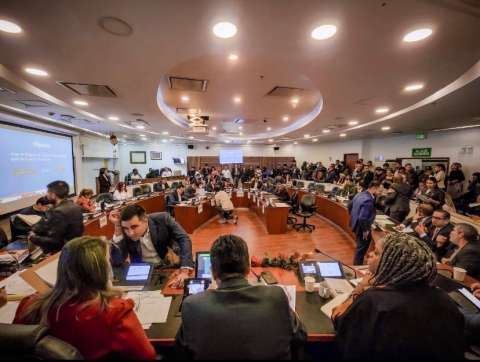 Le dan luz verde, en primer debate, a proyecto para prohibir el matrimonio infantil