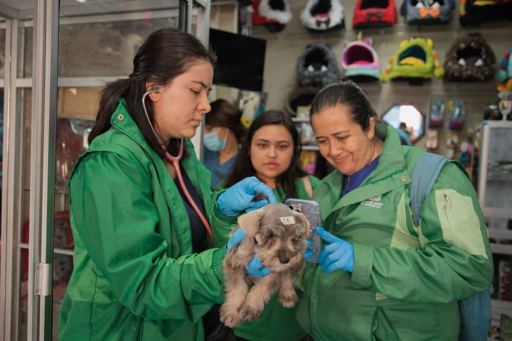 El Instituto Distrital de Protección Animal, a raíz de la reciente regulación, hace visitas de inspección para verificar el estado de salud de los animales.