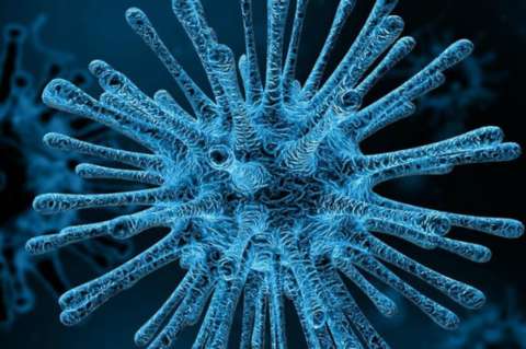 Los virus interactúan "socialmente" entre ellos para evadir al sistema inmunitario