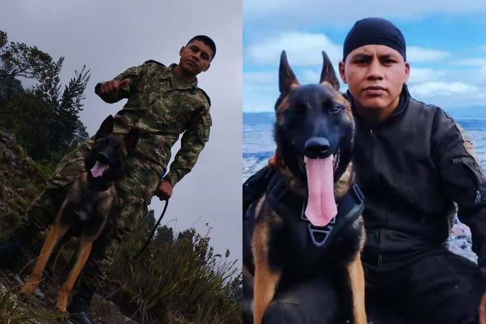 Él es el guía canino de Wilson, quien sigue en la selva buscándolo.
