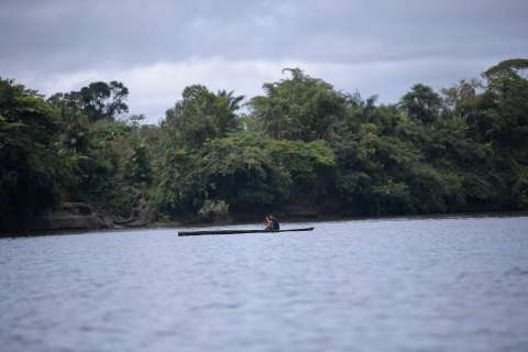 ¿Tiene un proyecto para estudiar la flora de la Amazonía? Esta convocatoria le interesa