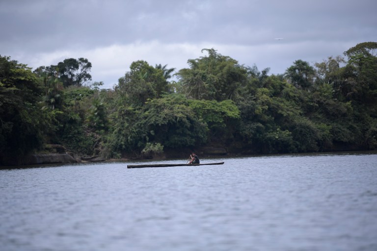 ¿Tiene un proyecto para estudiar la flora de la Amazonía? Esta convocatoria le interesa