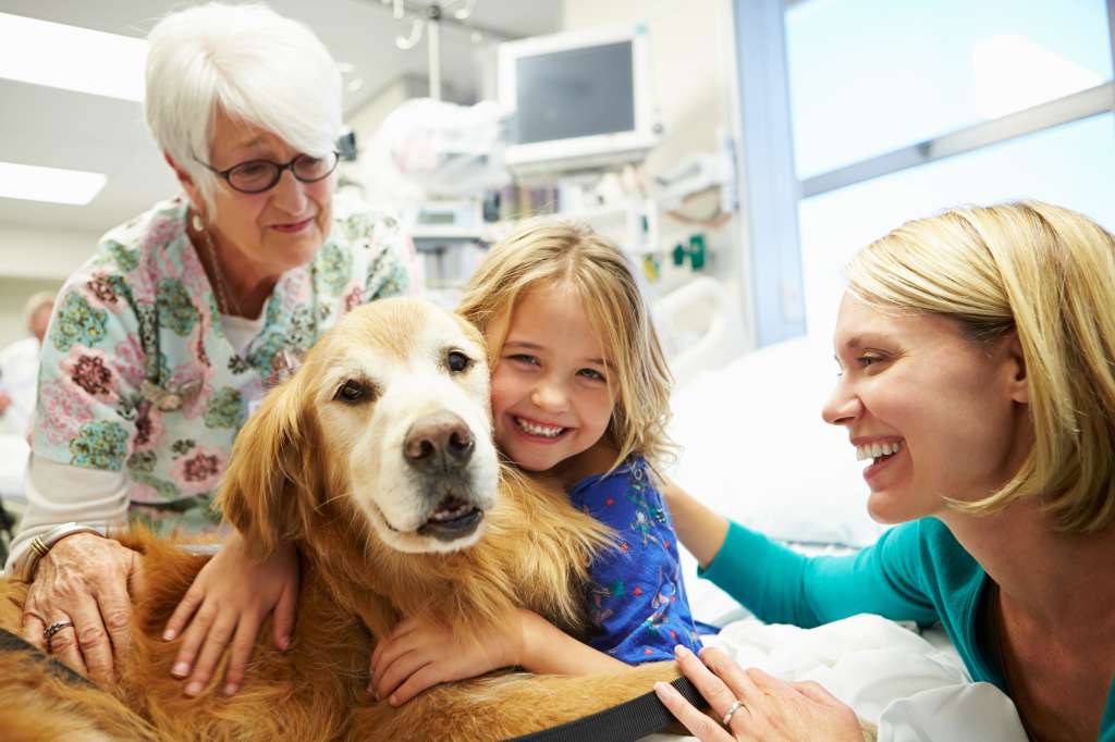 Young Girl Being Visited In Hospital By Therapy Dog And Family