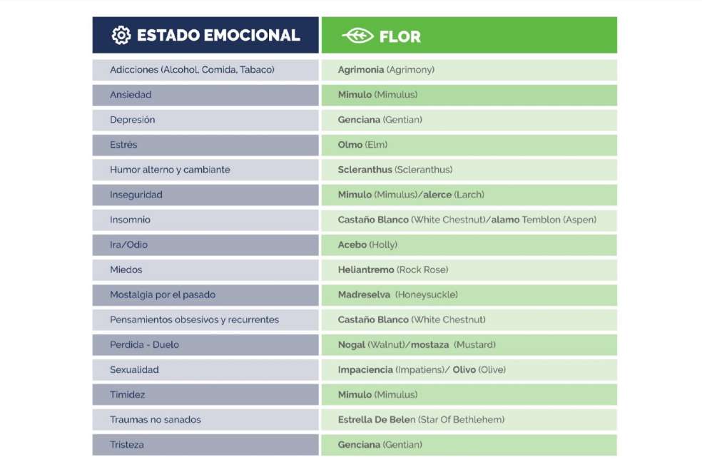 Las esencias florales en QUANTA.