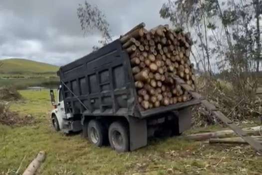 La CAR Cundinamarca impuso medidas preventivas por tala de 250 árboles ubicados en la ronda de la laguna de Suesca, en la cuenca alta del río Bogotá