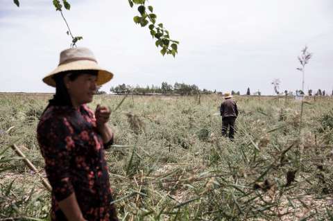 Trump salda cuentas con China y los agricultores pagan el precio