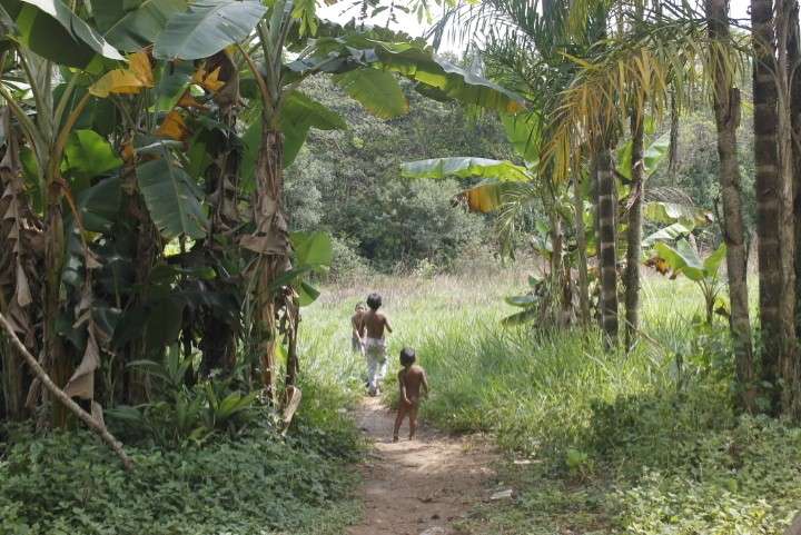 Niños indígenas corriendo.