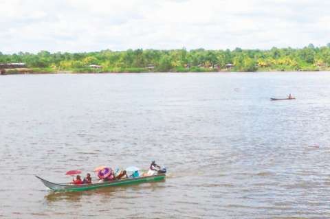 Un caudal de desplazados en el Cauca