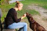 Dieta BARF: una tendencia cargada de potenciales riesgos para la salud de mascotas