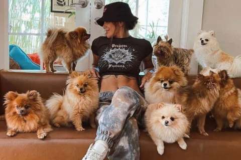 Greeicy Rendón: así es el costoso coche en el que pasea a sus 12 perros