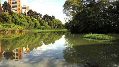 Nuevo sendero del Humedal Córdoba cuenta con caminos elevados: así puede visitarlo