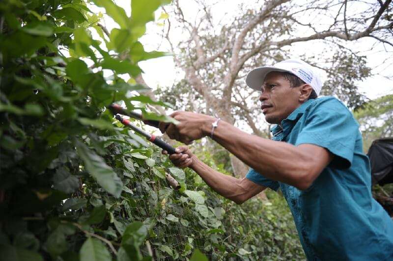 Un campesino beneficiado con la recupeeracíón de su tierra en Montería, capital del departamento de Córdoba. / Mauricio Alvarado - El Espectador