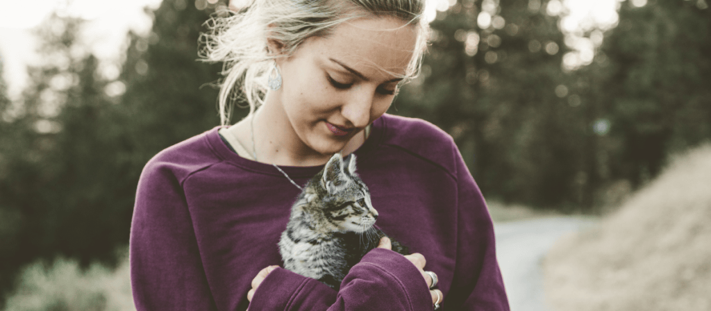 5 beneficios de tener un gato en casa