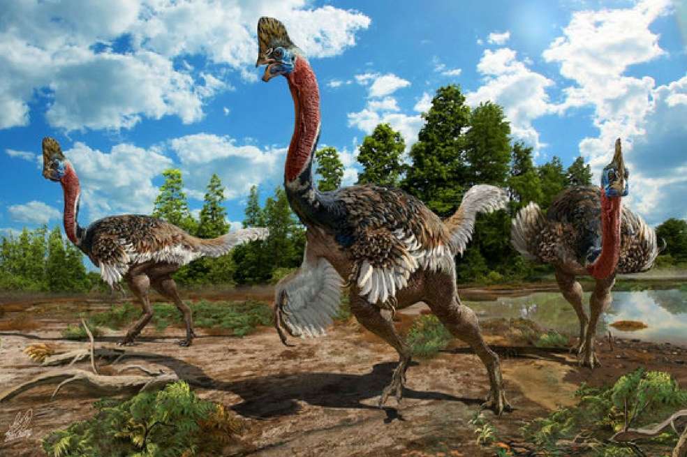 Reconstrucción artística de Corythoraptor jacobsi. / Tomado de Agencia Sinc, Zhao Chuang.