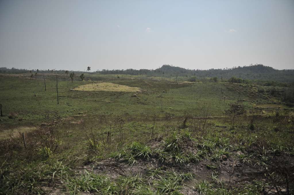 Organización comunitaria comprometida con la conservación de los bosques de la Reserva de Biosfera Maya, Guatemala.