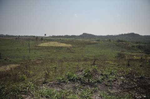 El gobierno Petro quiere restaurar un área del tamaño de Caldas
