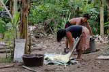 Ante el hambre, la yuca amarga está matando a los venezolanos