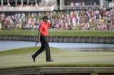 Tiger Woods defenderá título en torneo de golf Memorial de la PGA