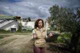 El pueblo español que lucha por salvar sus olivos de las plantas fotovoltaicas