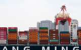 Exportaciones crecieron para julio: ¿qué impulsó las ventas externas del país?
