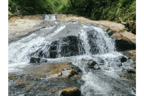 Ecoturismo para la paz: víctimas del conflicto lo promueven en Jamundí