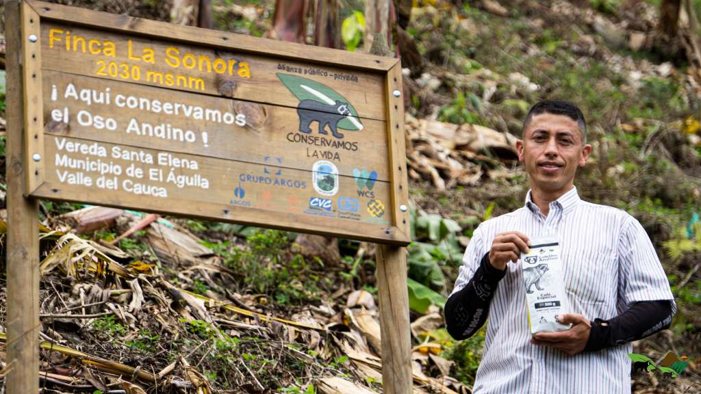 Producción sostenible de café en El Aguila (Valle del Cauca).