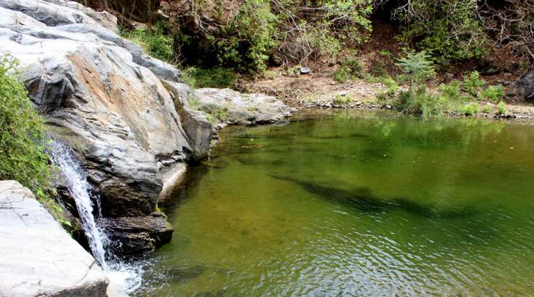 Parques Nacionales Naturales de Colombia