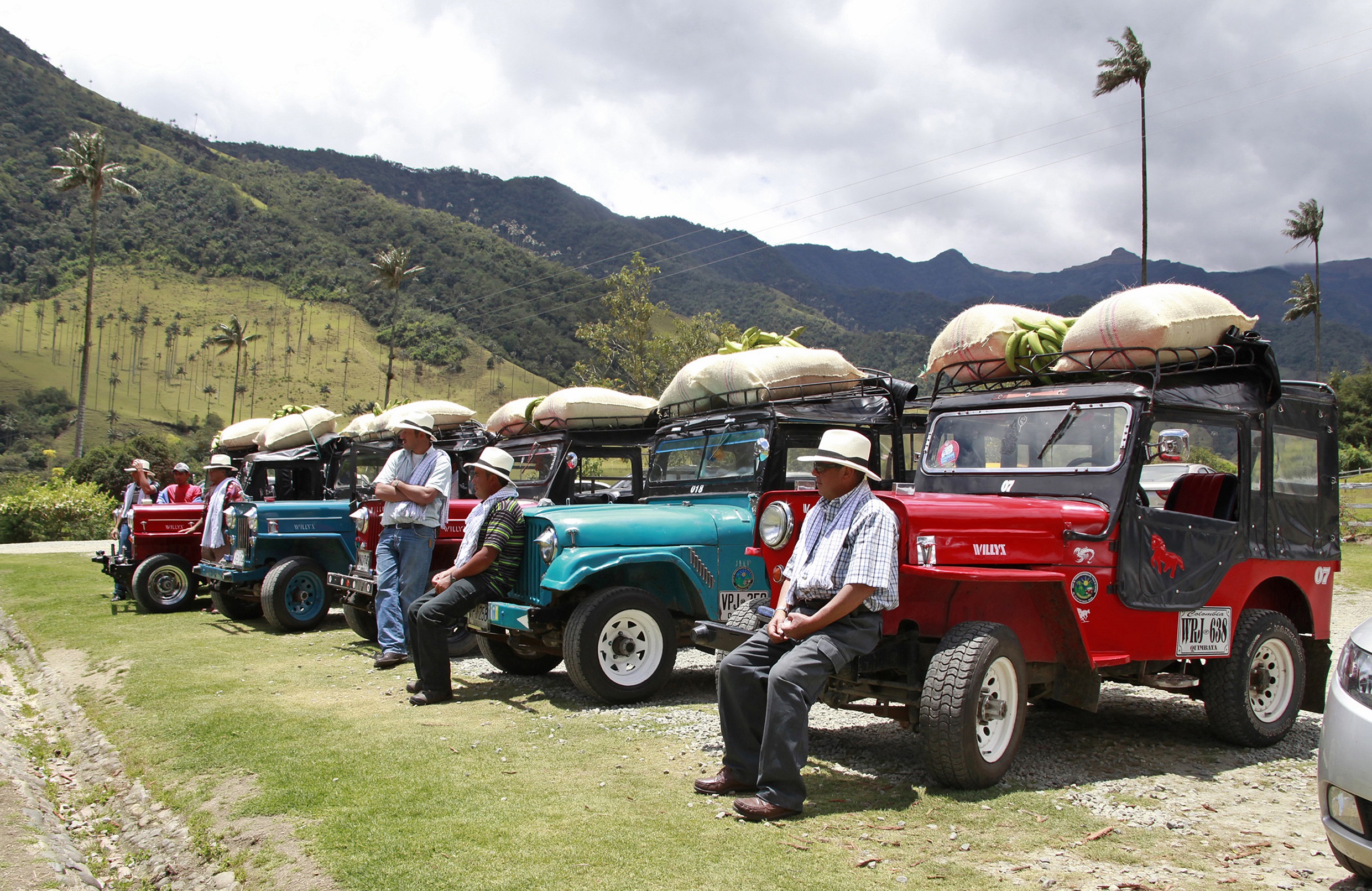 Los participantes compiten con sus Jeep Willys, un vehículo icónico en la región cafetera.