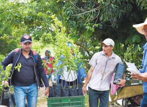 Ocho emprendimientos rurales en Caquetá buscan reforestar la Amazonía