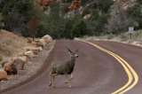 Trump recorta perímetro de dos parques naturales