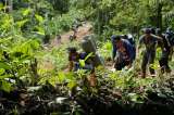El peligroso paso de los inmigrantes por la selva del Darién