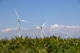 Pese a récord de 2024, el mundo se queda corto con las energías renovables