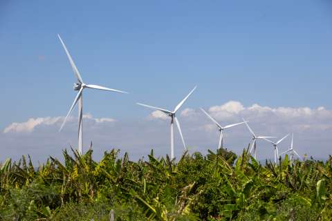 Pese a récord de 2024, el mundo se queda corto con las energías renovables