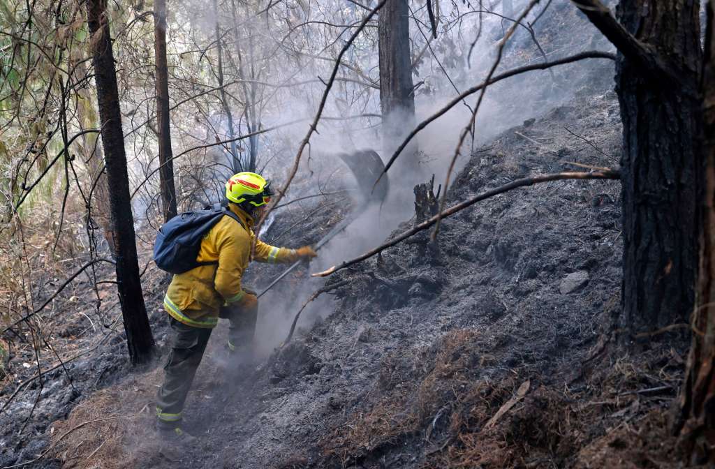 AME2250. BOGOTÁ (COLOMBIA), 25/01/2024.- Bomberos trabajan en la extinción de un incendio hoy, en el cerro El Cable, en Bogotá (Colombia). Un total de 31 incendios forestales están activos este jueves en Colombia y afectan a nueve departamentos y Bogotá, donde sigue la emergencia por los fuegos en dos de sus cerros, informó este jueves la Unidad de Nacional de Gestión del Riesgo de Desastre (Ungrd). Los más preocupantes son precisamente los de los cerros orientales y El Cable de Bogotá, pues el humo se extiende por buena parte de la capital y está afectando la calidad del aire y las operaciones aéreas. EFE/ Mauricio Dueñas Castañeda