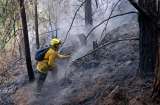 Más de 17.000 hectáreas afectadas por incendios en Colombia, 34 siguen activos