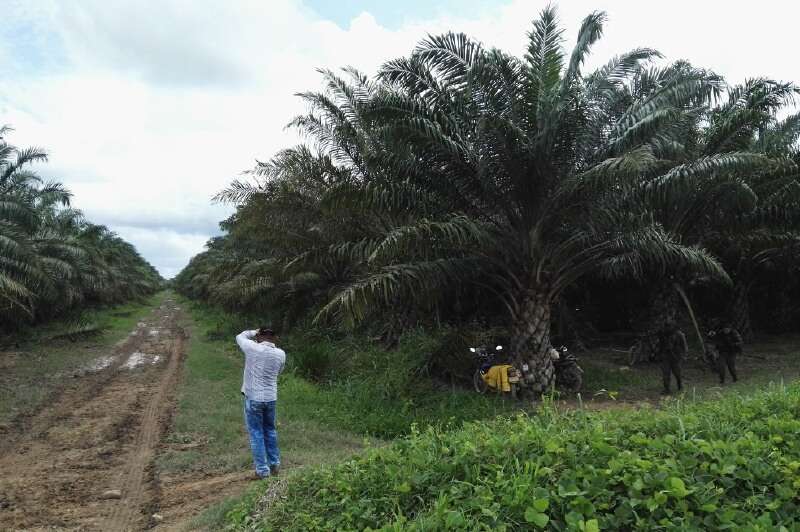 La hacienda Bellacruz está ubicada en el sur del Cesar y tiene 8.850 hectáreas. / Unidad de Restitución de Tierras