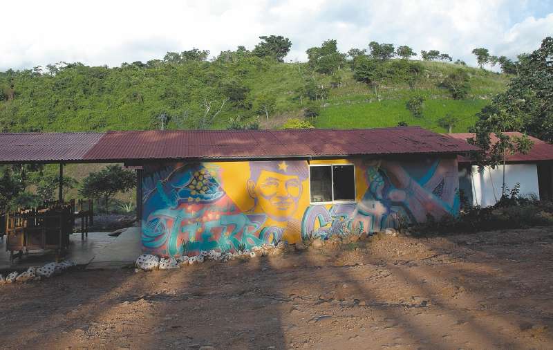 El festival fue desarrollado por la comunidad de Tierra Grata y excombatientes que viven en la zona. 