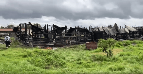 Incendio en Chía (Cundinamarca) dejó cinco perros muertos y un establo destruido