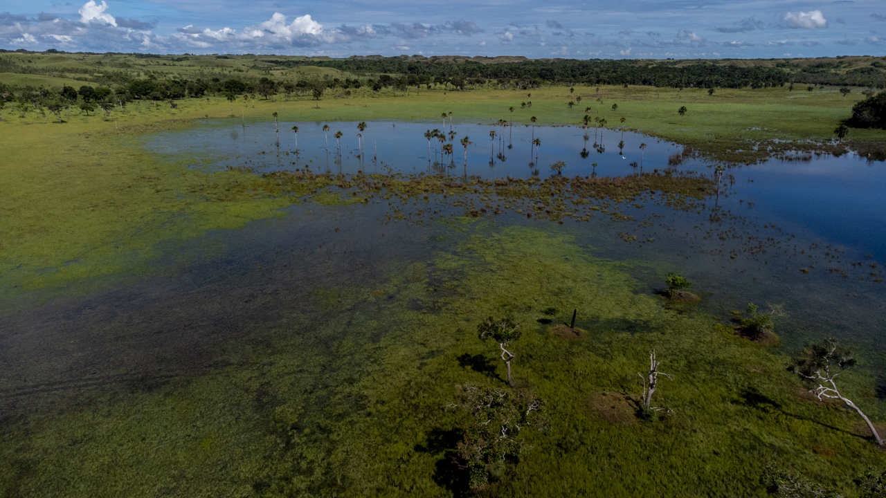 La declaración de nuevo parque natural se debe a su alta importancia ecológica, y contar con ecosistemas en buen estado de conservación.