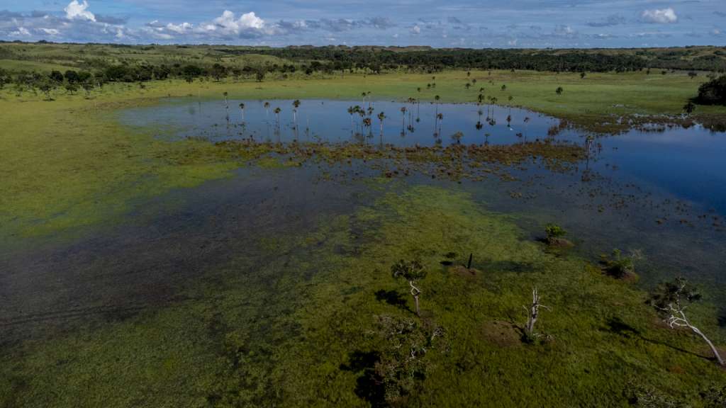 La declaración de nuevo parque natural se debe a su alta importancia ecológica, y contar con ecosistemas en buen estado de conservación.