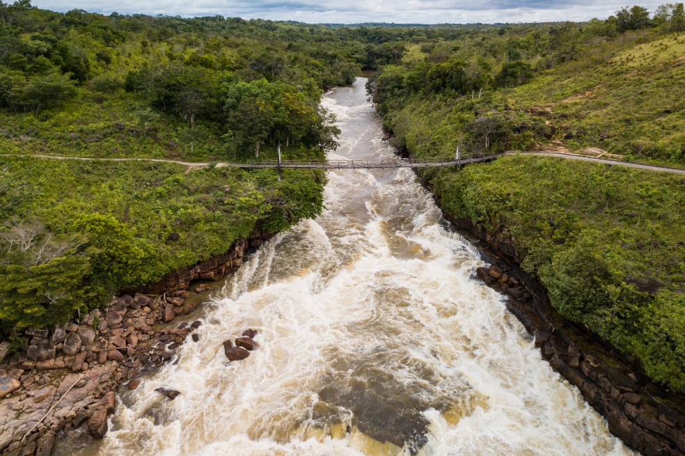 El río Amazonas es el mayor caudal en el mundo: tiene una media de 225.000 metros cúbicos de agua por segundo. Fluye a lo largo de más de 6,600 km, y junto con sus cientos de afluentes, contiene el número más grande de especies de peces de agua dulce del mundo.