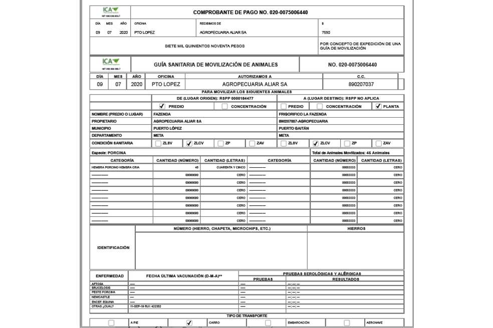En las carreteras de la Amazonía este es el único requisito que exigen las autoridades para permitir el tránsito de camiones cargados con ganado.
