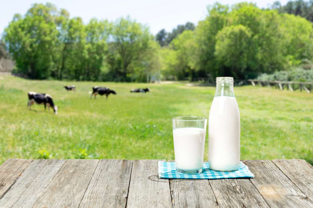 Leche recién ordeñada